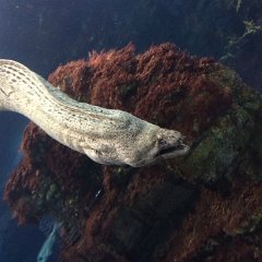 IMG 053